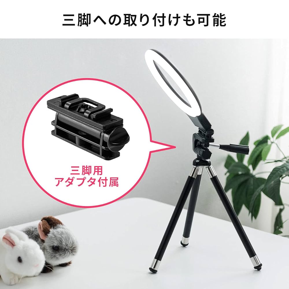 61EqUVwrC+L._UF1000,1000_QL80_.jpg